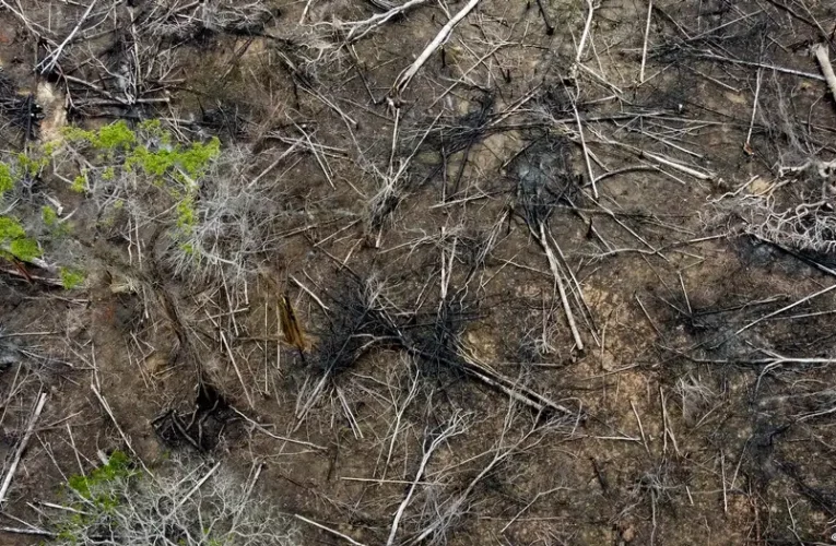 The decrease of deforestation in Brazil