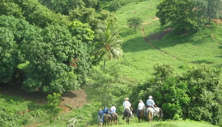 Costa Rica’s Inspiring Example of Forest Conservation