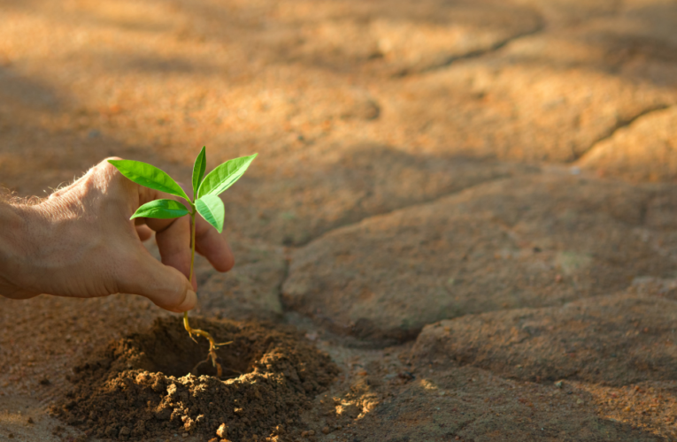 The Appalachian Regional Reforestation Initiative in the US