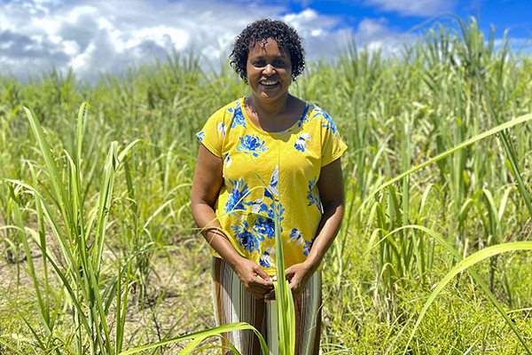 Scaling up Insurance to Protect Fijian Farmers