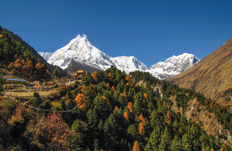 Nepal’s Community Forestry Initiatives