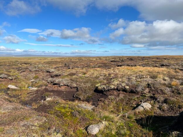 A Peatland Restoration Success Story