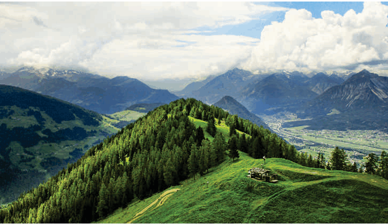 Role of Psychology in the Forest and Environment Management