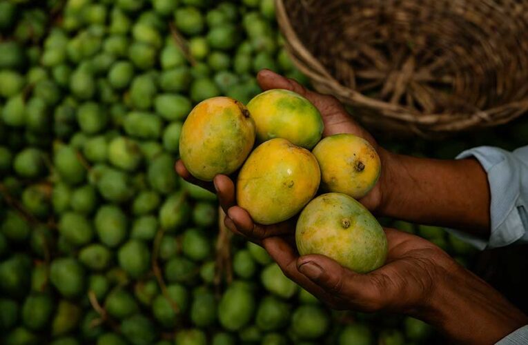 EFFECTS OF CLIMATE CHANGE ON FRUIT PRODUCTION (A COMPREHENSIVE REVIEW)