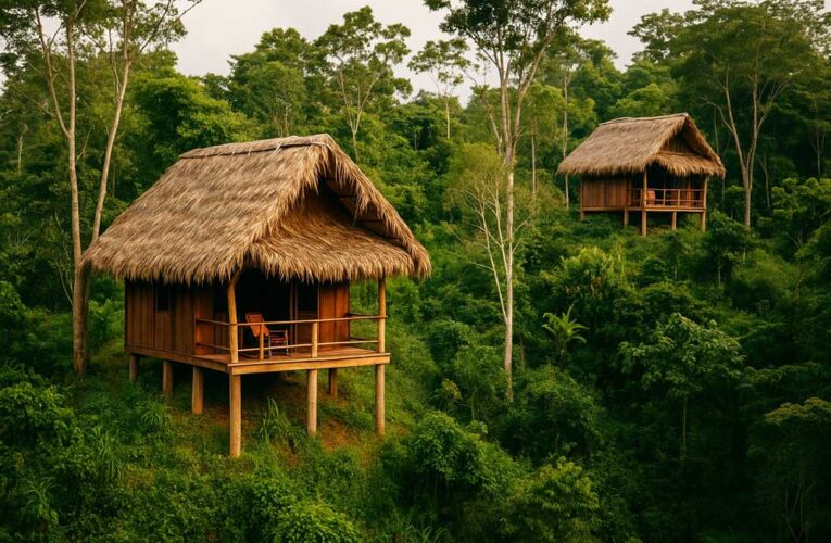 ECO-HUTS Vis-a-Vis ECO-TOURISM
