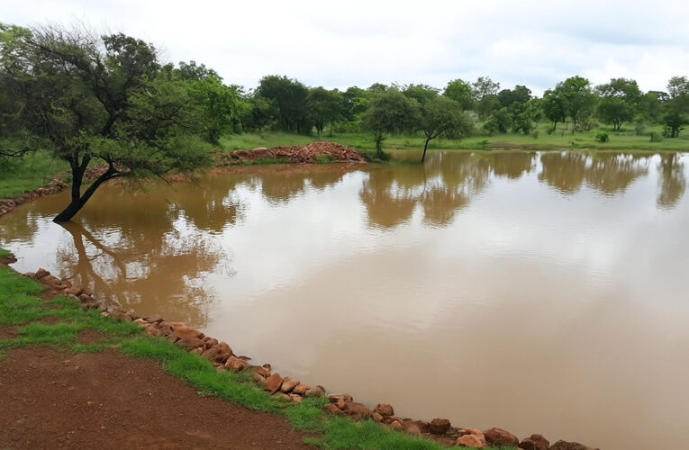 Economic Valuation of Ecotourism in Van Vihar National Park, Bhopal, Madhya Pradesh