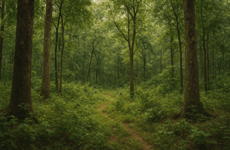 वन विभाग की कमजोरियाँ और मजबूरियाँ