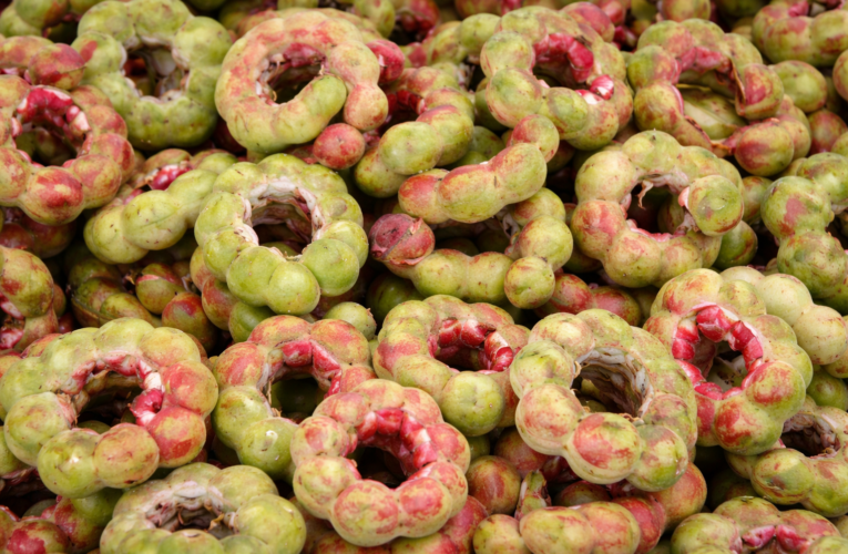 MEDICINAL USES OF PITHECELLOBIUM DULCE AND ITS HEALTH BENEFITS